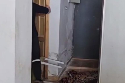 Belediye başkanının evine saldırdılar! 'Ayılara torpil işlemiyor^'