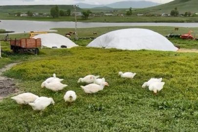 Gram altınla yarışıyor! Herkes akın ediyor...