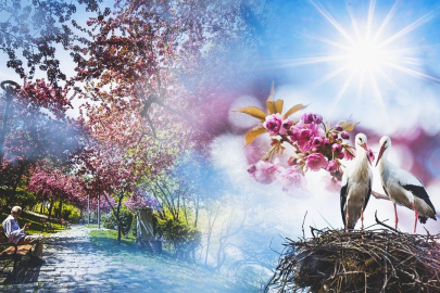 Yağışlı hava yerini güneşe bırakacak