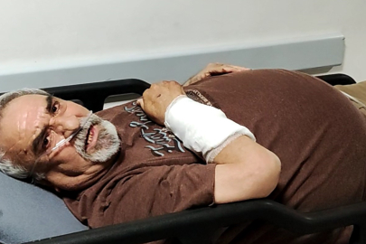 Aksaray’da başıboş köpek dehşeti: 76 dikiş atıldı