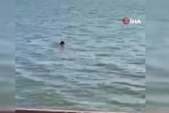 Ankara'da 'kurtuldum' diye bağırıp kendini göle attı