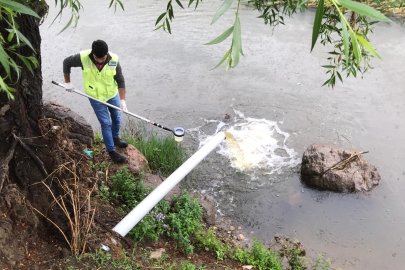 Müsilajla mücadele... Bursa'da çok sayıda işletmenin faaliyeti durduruldu