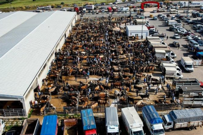 Kurban pazarlarında telaş başladı