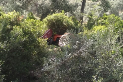 Muğla'da kontrolden çıkan traktör ormanlık alana devrildi: 2 yaralı