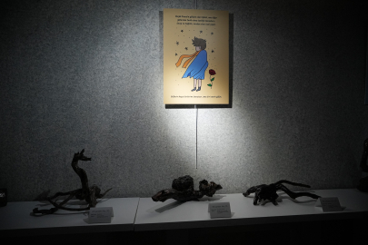 Bursa'da 14 yıl boyunca dağdan topladığı eserlerle sergi açtı