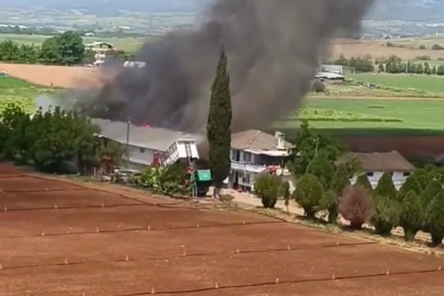 Bursa'da hayvan çiftliğinde büyük yangın!