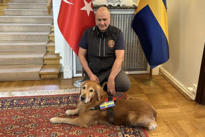 Asrın felaketinde 18 kişiyi kurtaran kahraman köpek hayatını kaybetti