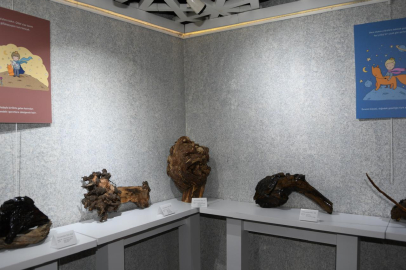 Bursa'da doğadan topladığı ölü ağaç dallarından sergi açtı