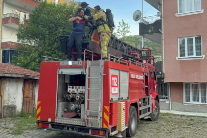 Fareleri korkutmak için yaptıkları plan, tüm mahalleyi zehirliyordu
