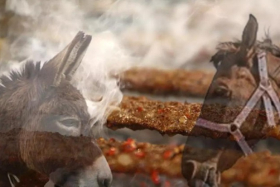 Hepsini vatandaşa yedireceklerdi: 3 ton bozulmuş tek tırnaklı eti ele geçirildi