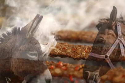 Hileli gıda listesi güncellendi: Skandal ifşalandı! Bu kez de at ve eşek eti...