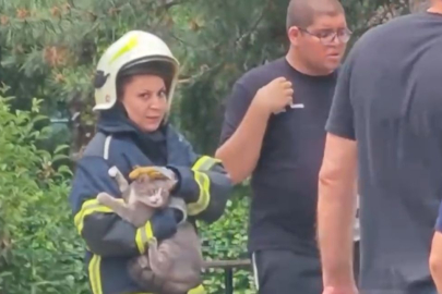 Bursa'da yangın çıkan dairedeki kediyi, itfaiyeci Melisa kurtardı