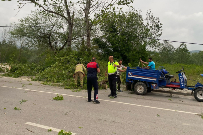 Bartın'da şiddetli fırtınada ağaçlar devrildi