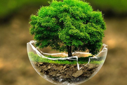 Bursa’da ‘Çevre Haftası Şenliği’ başlıyor