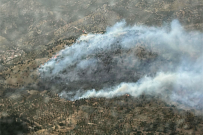 İzmir'de zeytinlik alandaki yangın kontrol altında
