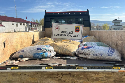 Van’da kaçak avlanmış 15 ton inci kefali ele geçirildi