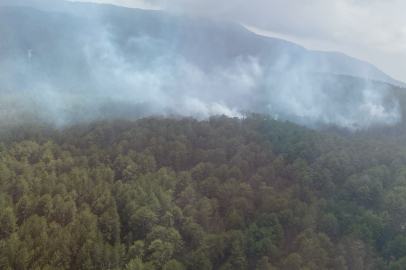Aydın’da orman yangını