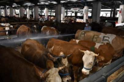 Bursa'daki kurban kesim ve satış yerleri açıklandı!