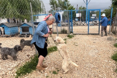 Bursa'daki Emekli Hayvanlar Çiftliği'nde terk edilen canları günübirlik sahipleniyorlar