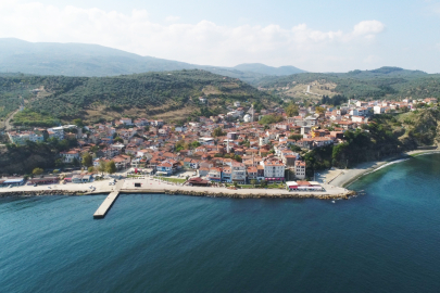 Bursa Tirilye’de Zeytin Çiçeği Festivali coşkusu