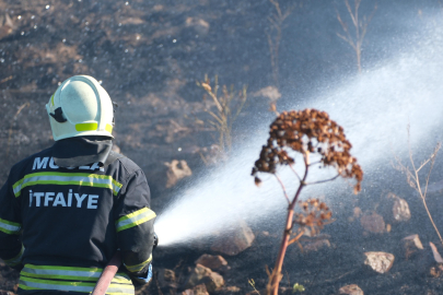 Bodrum’da otluk alanda çıkan yangın 5 dekarlık alanı küle çevirdi