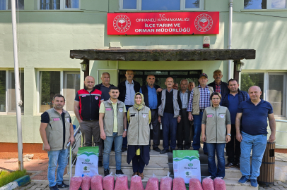 Bursa Orhaneli'de çiftçilere kuru fasulye desteği