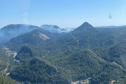 Muğla Marmaris’te orman yangını