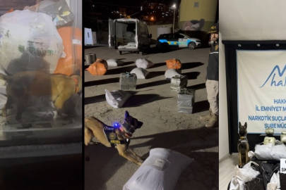 Hakkari Yüksekova’da kargo aracında 6 kilo skunk ele geçirildi