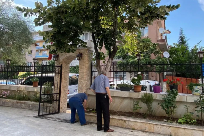 Kocaeli'de cami bahçesinde feci düşüş: Ihlamur toplarken demire saplandı