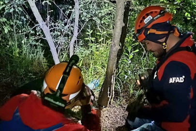 Yalova'da kayıp vatandaş ormanda ölü bulundu