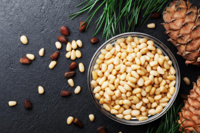 Aydın çam fıstığına AB'den coğrafi işaret tescili