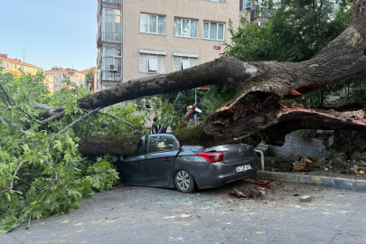 İstanbul Beşiktaş’ta devrilen ağaç 3 araca hasar verdi