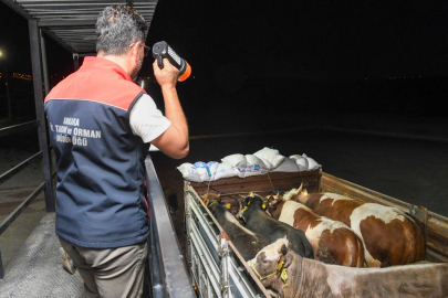 Kurban sevkiyatına yol denetim istasyonlarında sıkı denetim