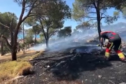 Balıkesir Ayvalık'ta orman yangını
