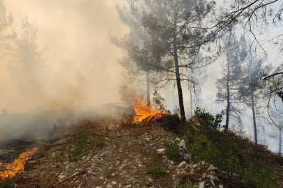 Balıkesir Dursunbey'de orman yangını