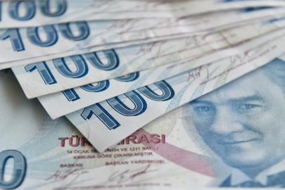 Engelli ve eski hükümlü hibe desteği başvuruları başladı