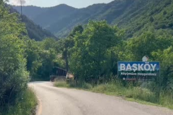 Karabük'te köpek ölümleriyle ilgili soruşturma başlatıldı