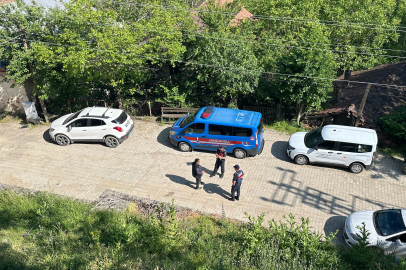 Karabük'teki köpek ölümleriyle ilgili inceleme başlatıldı