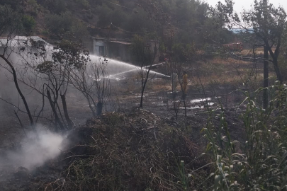 Mersin'de tarım arazisinde çıkan yangın korkuttu