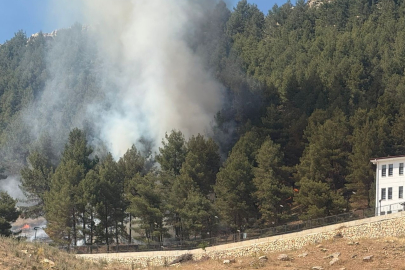 Adıyaman'da ormanlık alanda çıkan yangın korkuttu