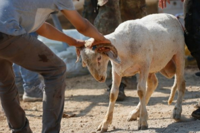 BUSKİ'den Bursalılara 'kurban' uyarısı! Dere yatakları...