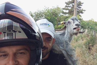 Bursa'da kaçan keçiyi motosikletle yakalayıp omuzlarında pazara getirdiler