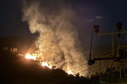 Aydın'da orman yangını!