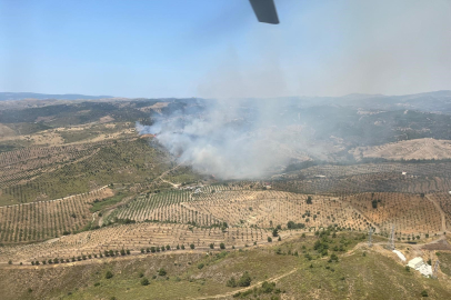 İzmir'de ormanlık alanda yangın! Havadan ve karadan müdahale...