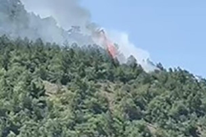 Ankara'da orman yangını