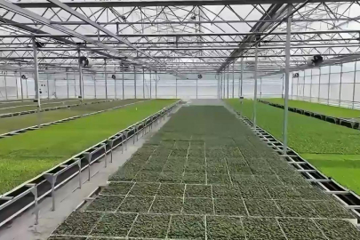 Bafra ve Çaycuma Sera OTB'lerinde üretime başlandı