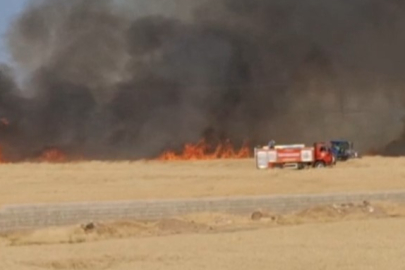 Gaziantep Araban Ovası’nda hasada hazır 50 dönüm buğday yandı