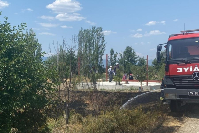 Burdur'da çıkan yangında 3 dönüm ekili alan zarar gördü