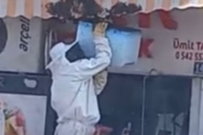 Konya Karapınar'da arı paniği