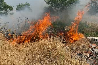 Ankara'da otluk arazide yangın